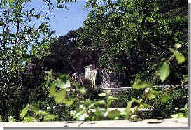 wpe8.jpg (23360 byte)